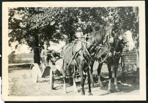 Auto and a Two Horse Team