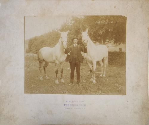 Man and Two White Horses