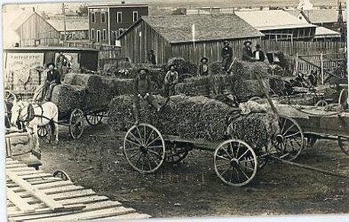 Wagon Loads