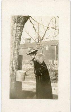 Woman and Sap Bucket