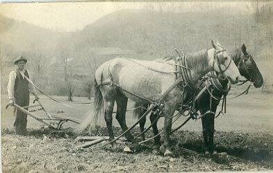 Horse Drawn Plow