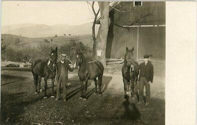 Will & Charles Austin and Horses