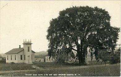 Indian Elm Church, Oneida, NY