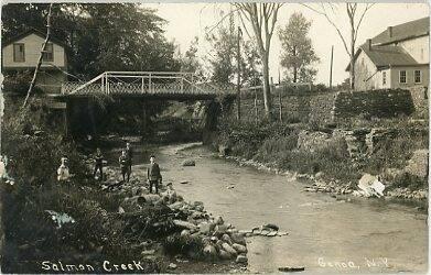 Salmon Creek, Genoa, NY