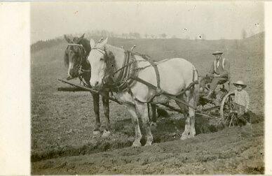 Horse Drawn Plow