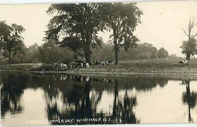 A Bright Summer Day in Winthrop NY