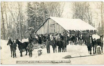 Horses and Stable, Adirondack Lumber Woods