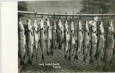 Our Sodus Point Catch