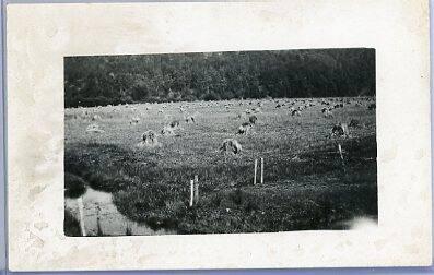 Field of Haystacks