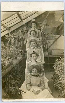 Five Women in a Greenhouse