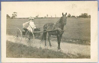 Horse Drawn Wagon