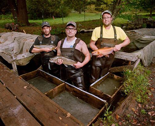 Beaverkill Trout Hatchery, Livingston, Manor, NY