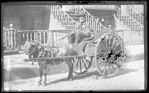 J. Campbell Donkey and Cart