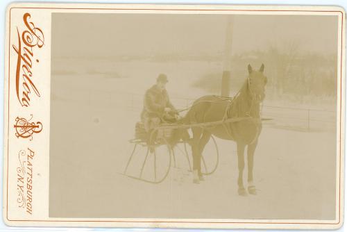 Man on a Horse Drawn Sled