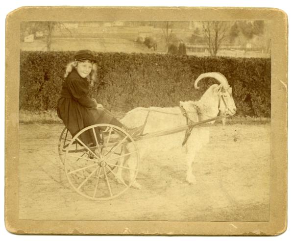 A Girl and Her Goat Cart