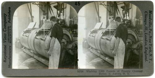 Draining the Cheese Curd, East Aurora N.Y.