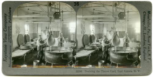 Washing 1,000 Pounds of Freshly Churned Butter, East Aurora N.Y.