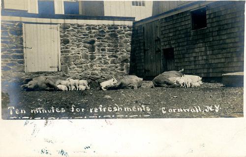 Ten Minutes For Refreshments; Cornwall, N.Y.