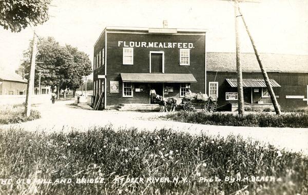 The Old Mill and Bridge At Deer River, N.Y