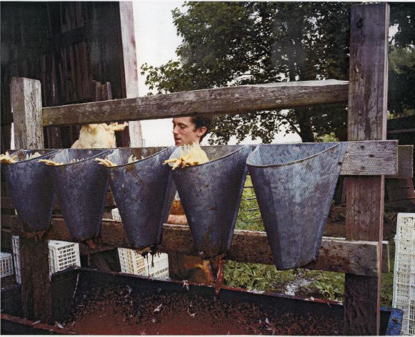 Owen at Awesome Farm, Tivoli, NY