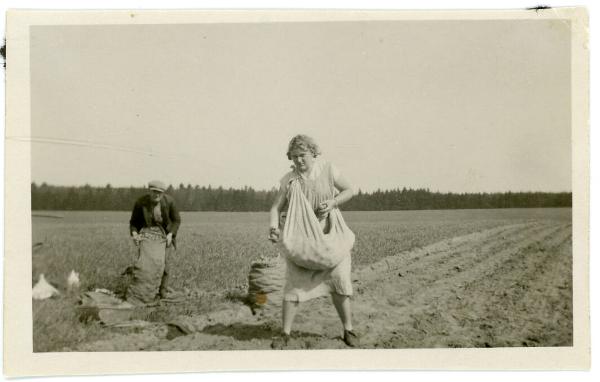 Two People in a Potato Field
