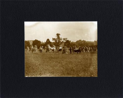 Women in a Carriage during the Harvest