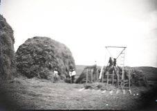 Stacking Hay