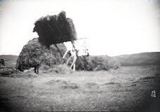 Overshot Hay Stacker in use