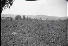 Farm Landscape