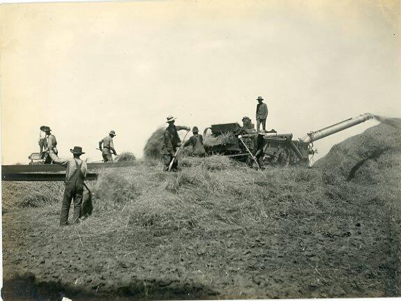 Threshing Team