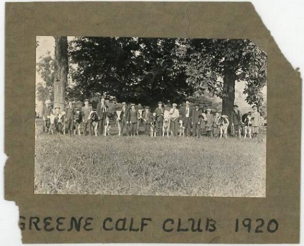 Greene Calf Club