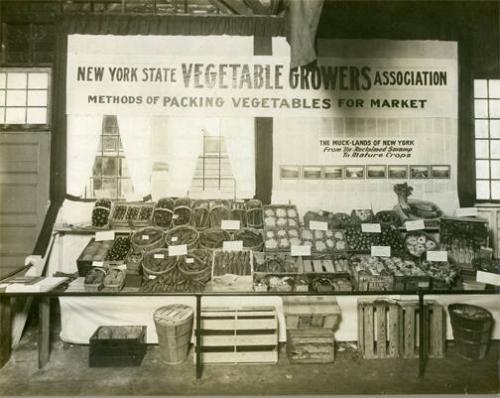 New York State Vegetable Growers Association Produce Display