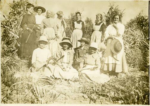 Women with Corn Scythes