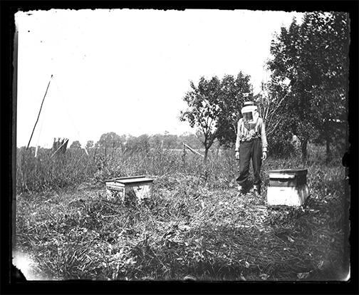 Beekeeper with Hives