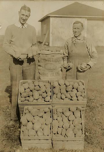 Lake Cayuga Company Potatoes