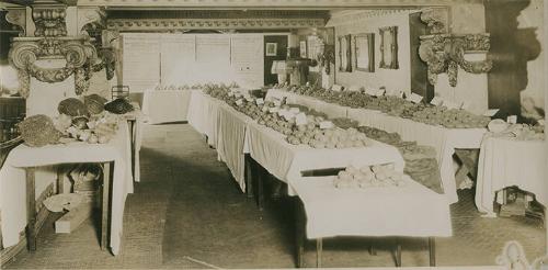 Vegetable Display, Utica, NY