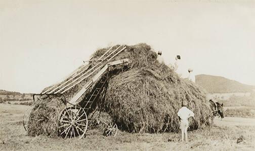 Loading Loose Hay with a Hay Loader