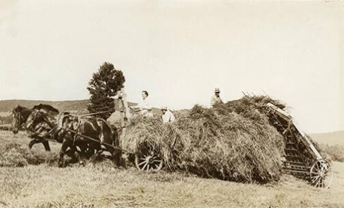 Loading Loose Hay