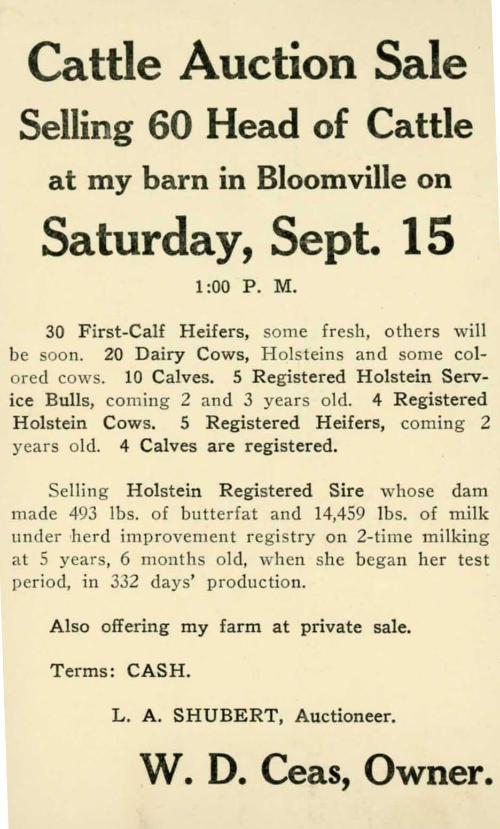 Cattle Auction Sale Advertisement