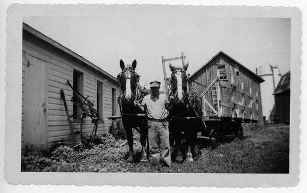 Horse Team and a Hay Wagon