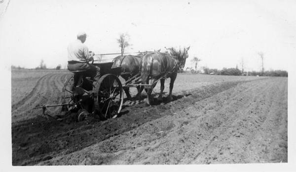 Seeding a Field