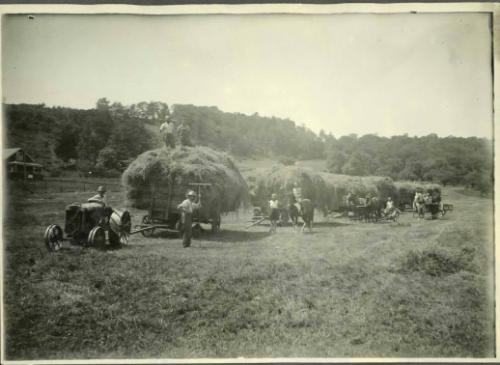 Hay Harvest