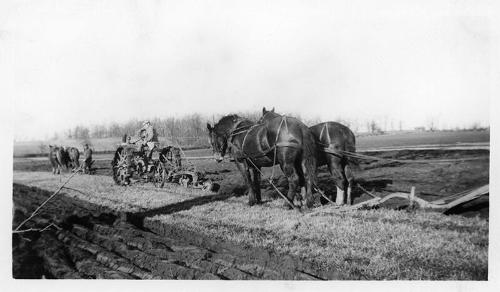 Preparing a Field