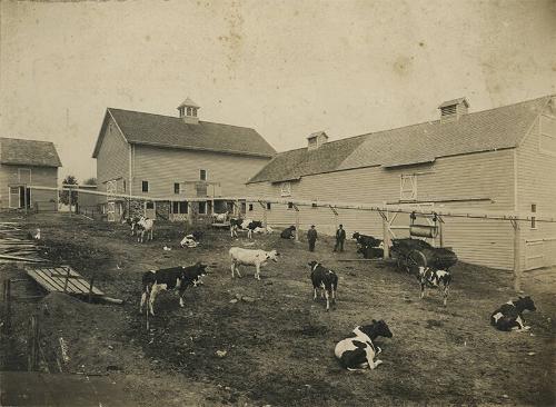 Louden Machine Company Farm