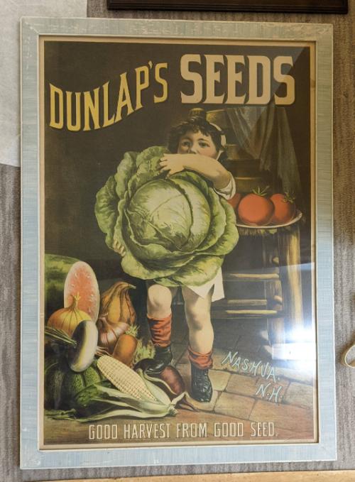 Dunlap's Seeds