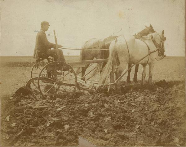 William H. Marrow Preparing a Field