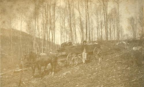 Man in Forest with Wagon