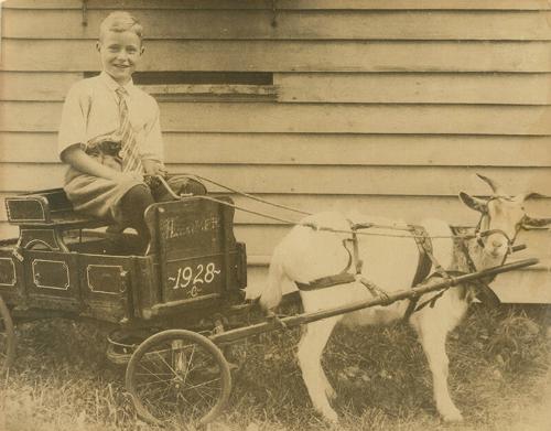 Boy in Cart