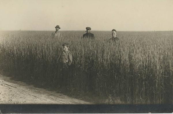 George Holcomb and Others in a Grain Field