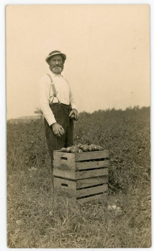 Man with Crates of Produce